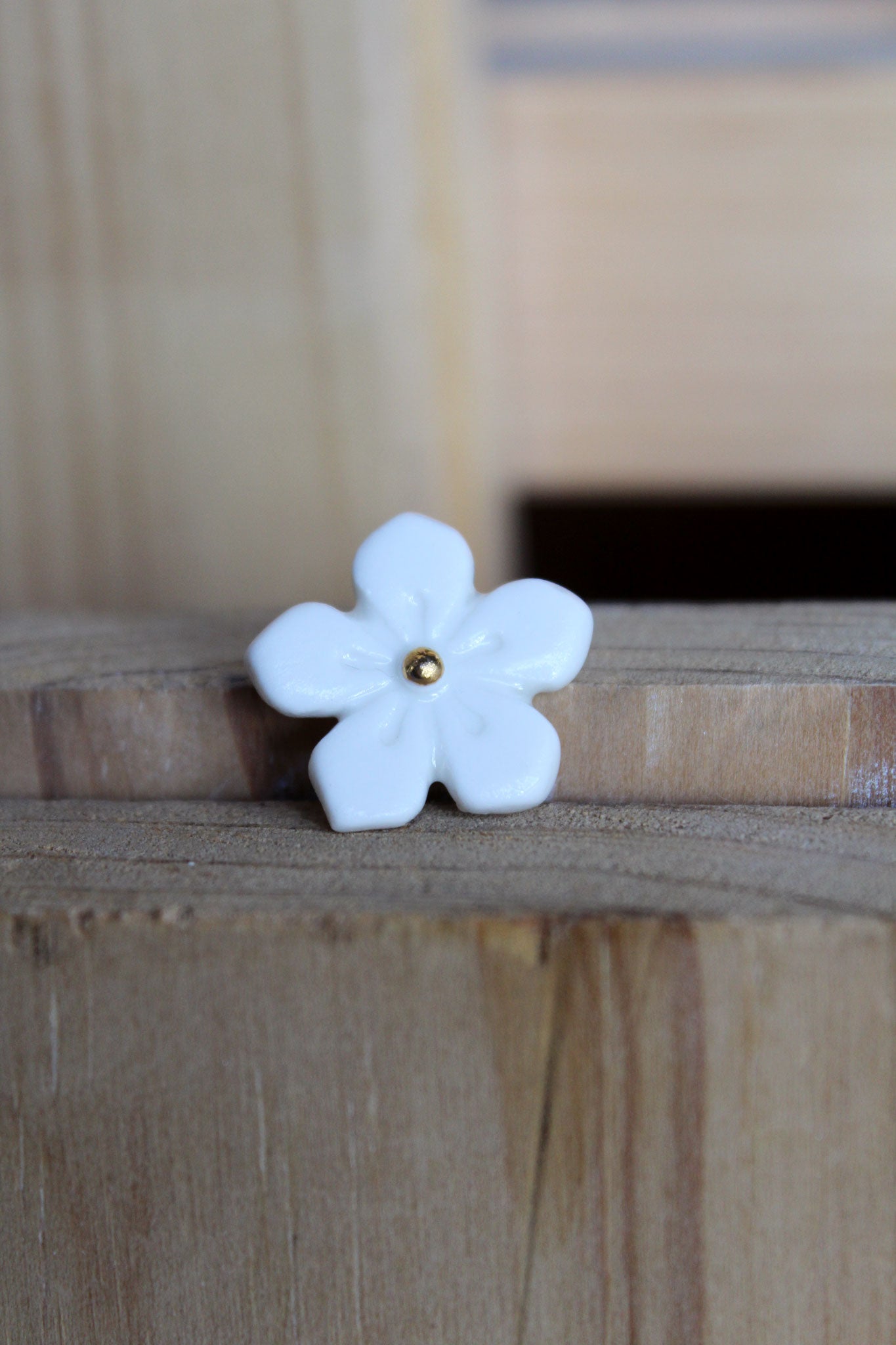Puces d'oreilles Hanami