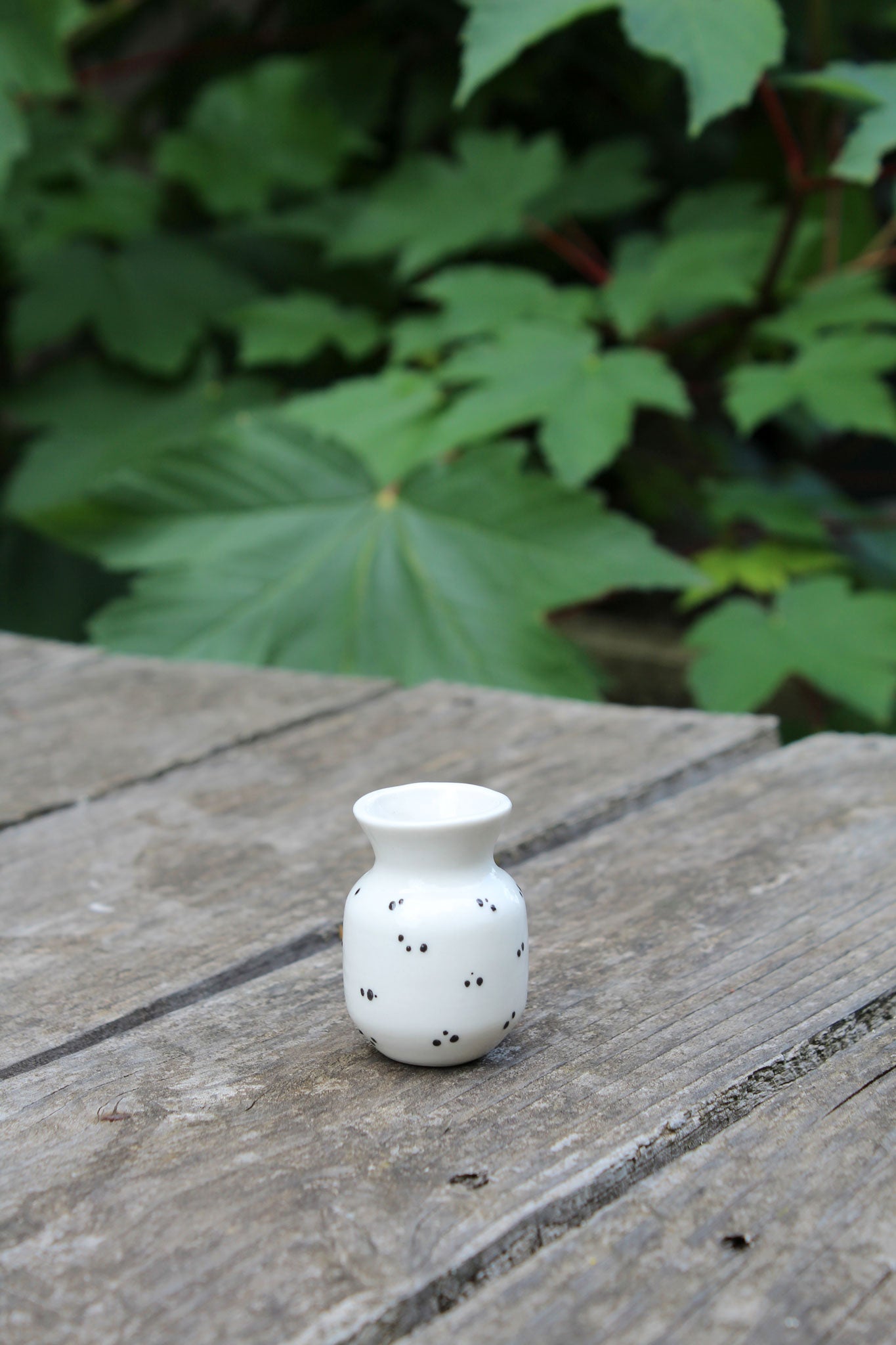 Petit Soliflore Pois