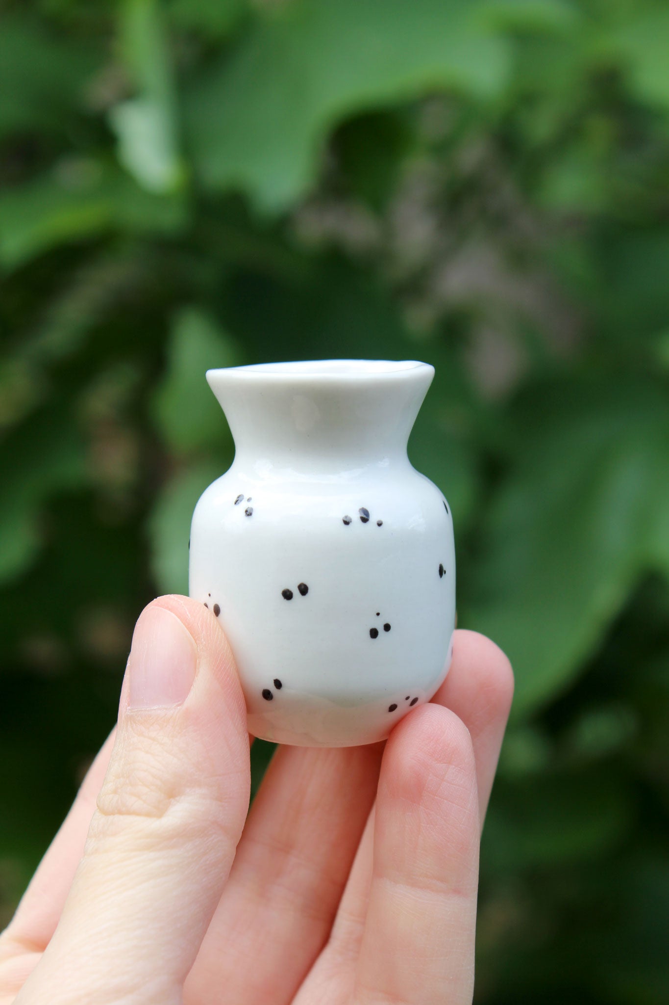 Petit Soliflore Pois